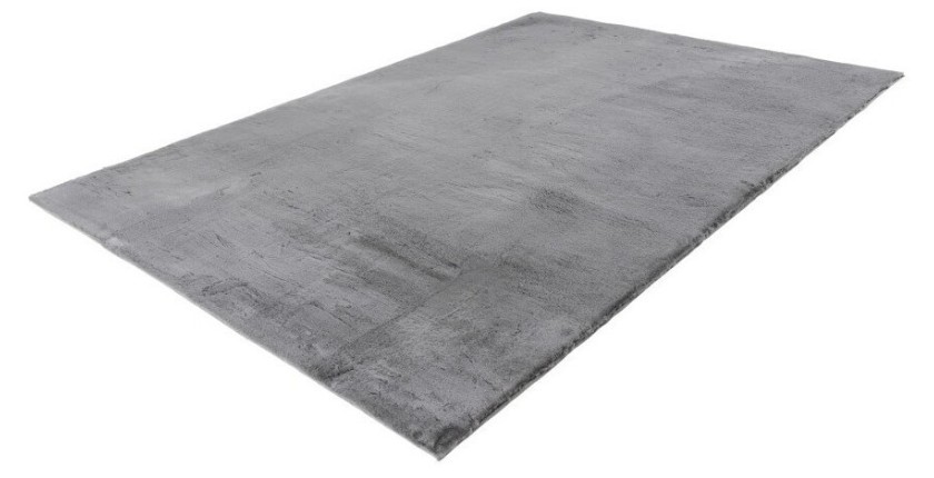 Tapis 170x120cm, design E005N coloris gris - Confort et élégance pour votre intérieur