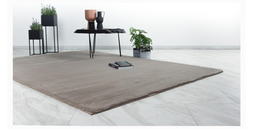 Tapis 110x60cm, design E005N coloris taupe - Confort et élégance pour votre intérieur