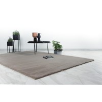 Tapis 290x200cm, design E005N coloris taupe - Confort et élégance pour votre intérieur