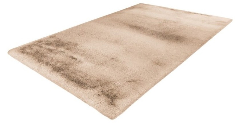 Tapis 230x160cm, design E009Y coloris beige - Confort et élégance pour votre intérieur