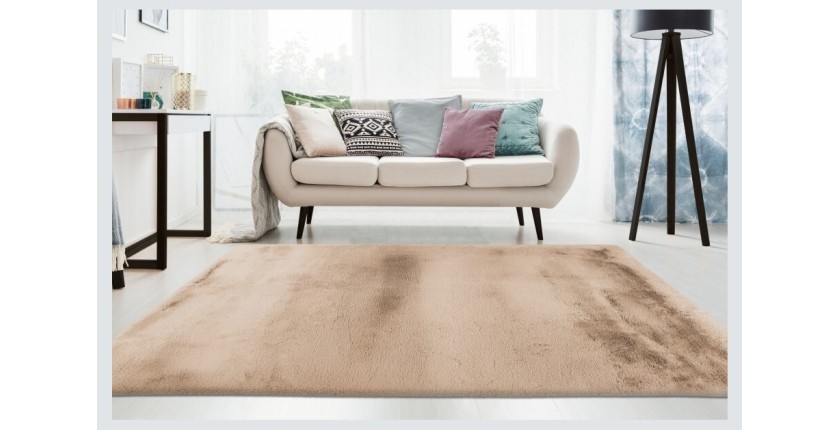 Tapis 290x200cm, design E009Y coloris beige - Confort et élégance pour votre intérieur