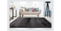 Tapis 150x80cm, design E009Y coloris graphite - Confort et élégance pour votre intérieur