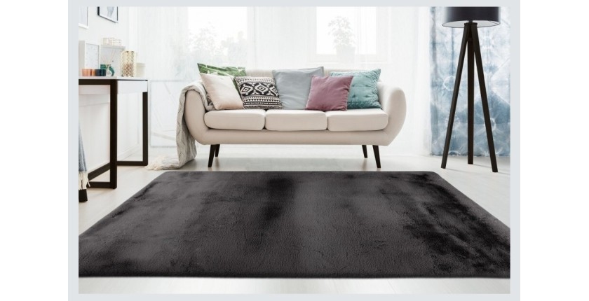 Tapis 150x80cm, design E009Y coloris graphite - Confort et élégance pour votre intérieur