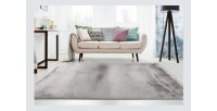 Tapis 230x160cm, design E009Y coloris argent - Confort et élégance pour votre intérieur