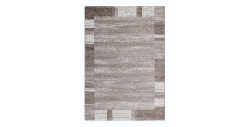 Tapis 230x160cm, design F005G coloris beige - Confort et élégance pour votre intérieur