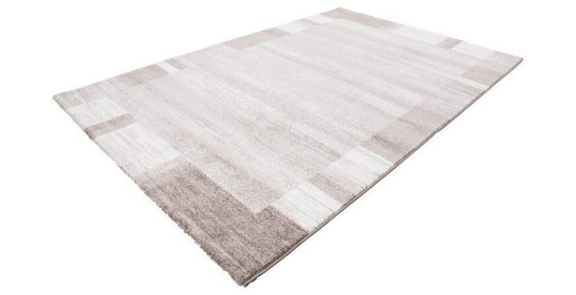 Tapis 290x200cm, design F005G coloris beige - Confort et élégance pour votre intérieur