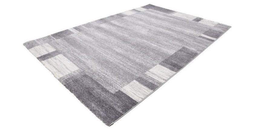 Tapis 170x120cm, design F005G coloris argent - Confort et élégance pour votre intérieur