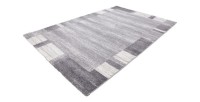 Tapis 230x160cm, design F005G coloris argent - Confort et élégance pour votre intérieur