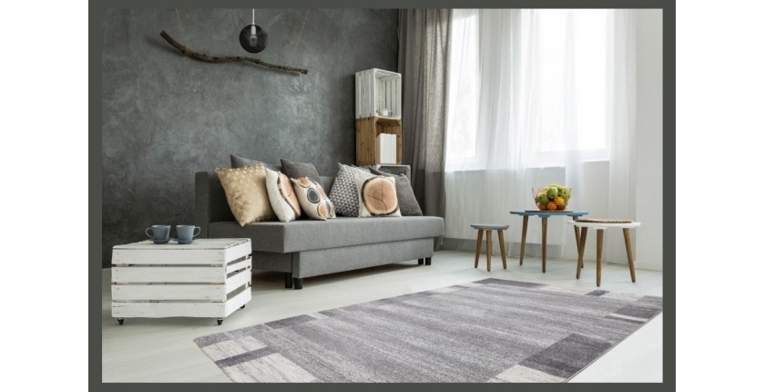 Tapis 230x160cm, design F005G coloris argent - Confort et élégance pour votre intérieur