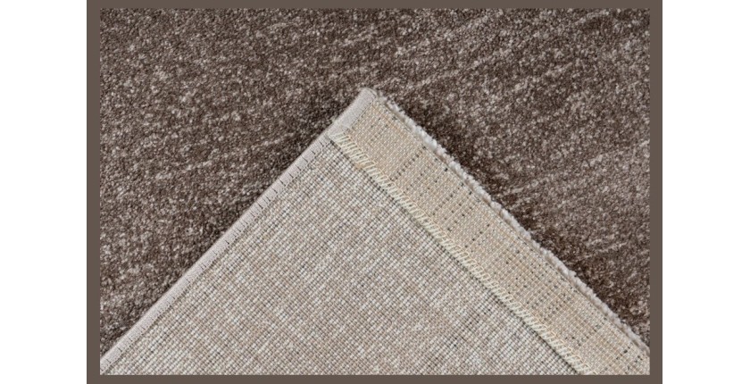 Tapis 230x160cm, design F205G coloris beige - Confort et élégance pour votre intérieur