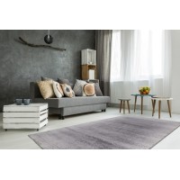 Tapis 230x160cm, design F205G coloris argent - Confort et élégance pour votre intérieur