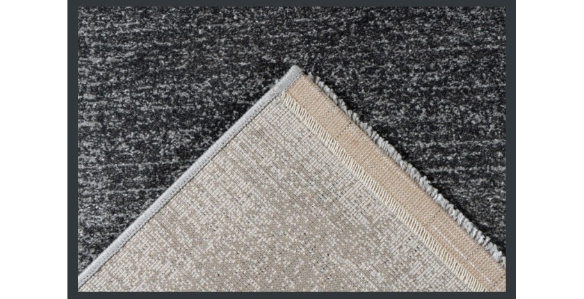 Tapis 230x160cm, design F205G coloris argent - Confort et élégance pour votre intérieur