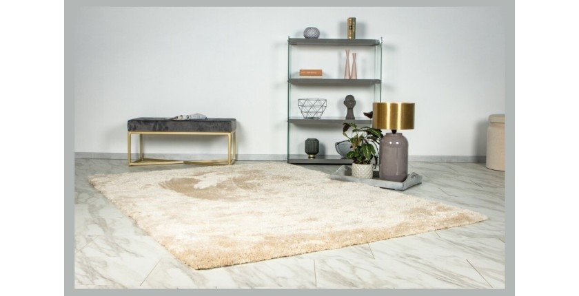 Tapis 150x80cm, design G008R coloris beige - Confort et élégance pour votre intérieur