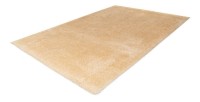 Tapis 230x160cm, design G008R coloris beige - Confort et élégance pour votre intérieur