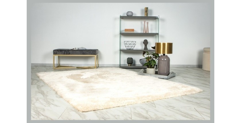 Tapis 230x160cm, design G008R coloris ivoire - Confort et élégance pour votre intérieur