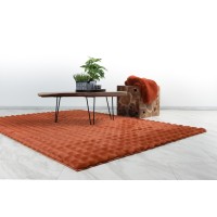 Tapis 150x80cm, design H008Y coloris rouge terracotta - Confort et élégance pour votre intérieur