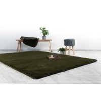 Tapis 170x120cm, design H008N coloris vert basilic - Confort et élégance pour votre intérieur