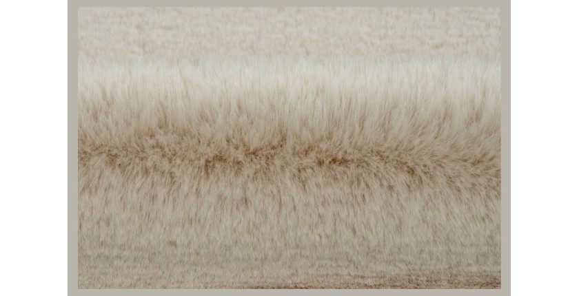 Tapis 230x160cm, design H008N coloris ivoire - Confort et élégance pour votre intérieur