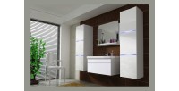 Ensemble meubles de salle de bain collection RAVEN, coloris blanc mat et brillant, avec vasque 60cm et deux colonnes