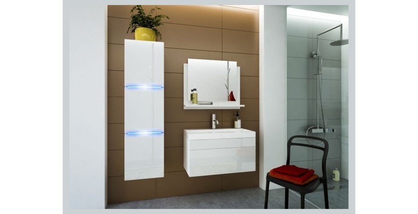 Ensemble meubles de salle de bain collection RAVEN, coloris blanc mat et brillant, avec vasque 60cm et une colonne