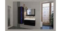 Ensemble meubles de salle de bain collection BIRD, coloris noir mat et brillant avec une colonne