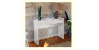 Meuble d'entrée, console ARENA coloris blanc. Meuble design pour votre entrée