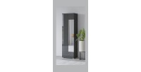 Armoire à chaussures design avec miroir collection OHIO, coloris gris anthracite et chêne