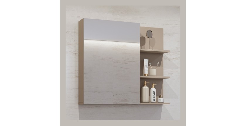 Miroir avec rangements de salle de bain GOBI coloris marron